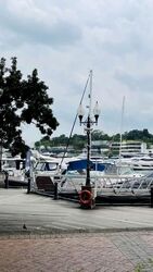 Quayside Isle (D4), Retail #591238341